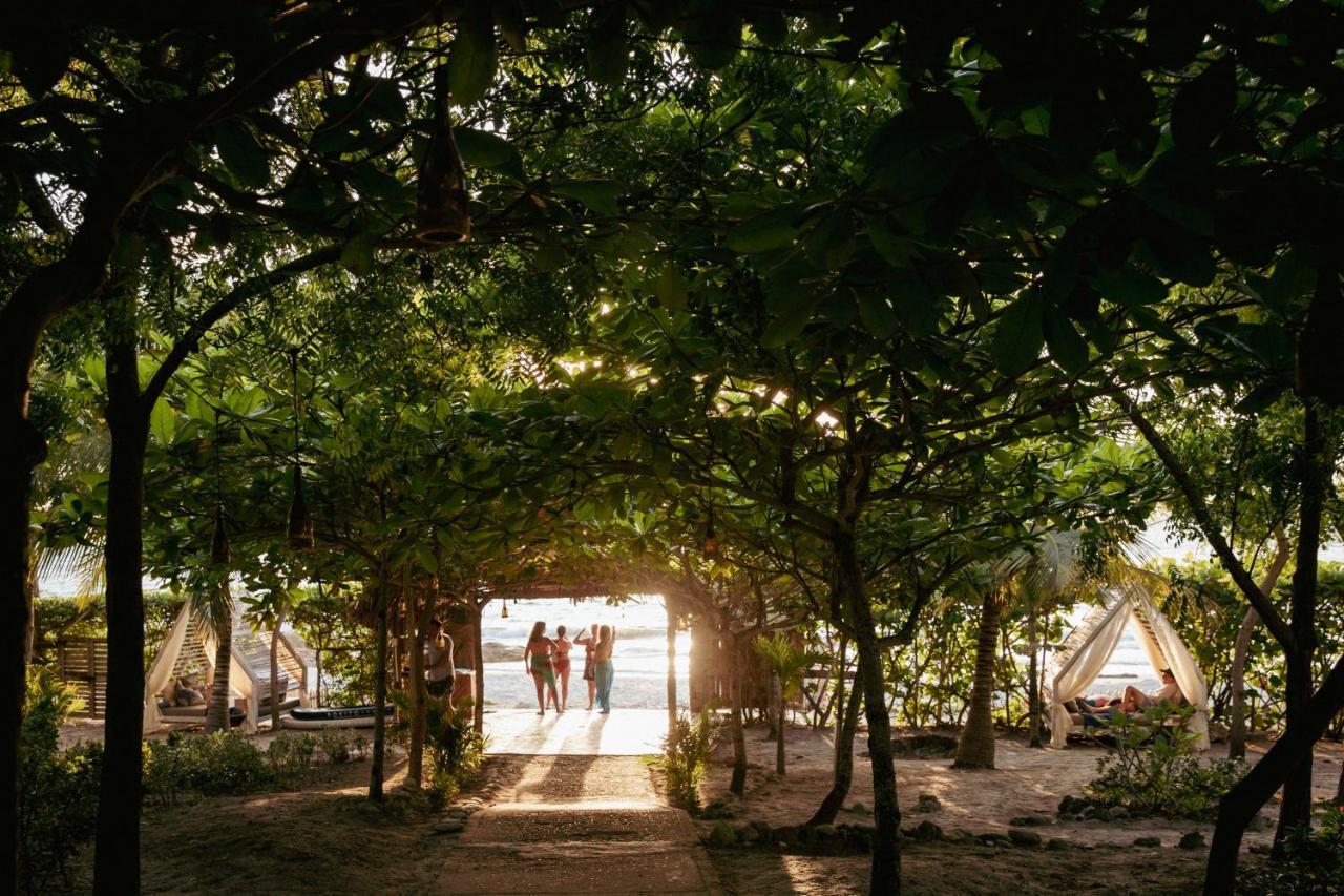 Blue Apple Beach Corregimiento Bocachica المظهر الخارجي الصورة
