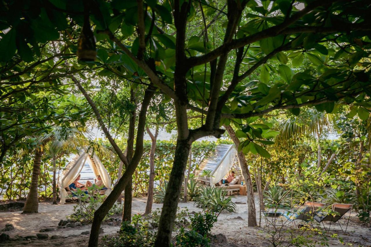 Blue Apple Beach Corregimiento Bocachica المظهر الخارجي الصورة